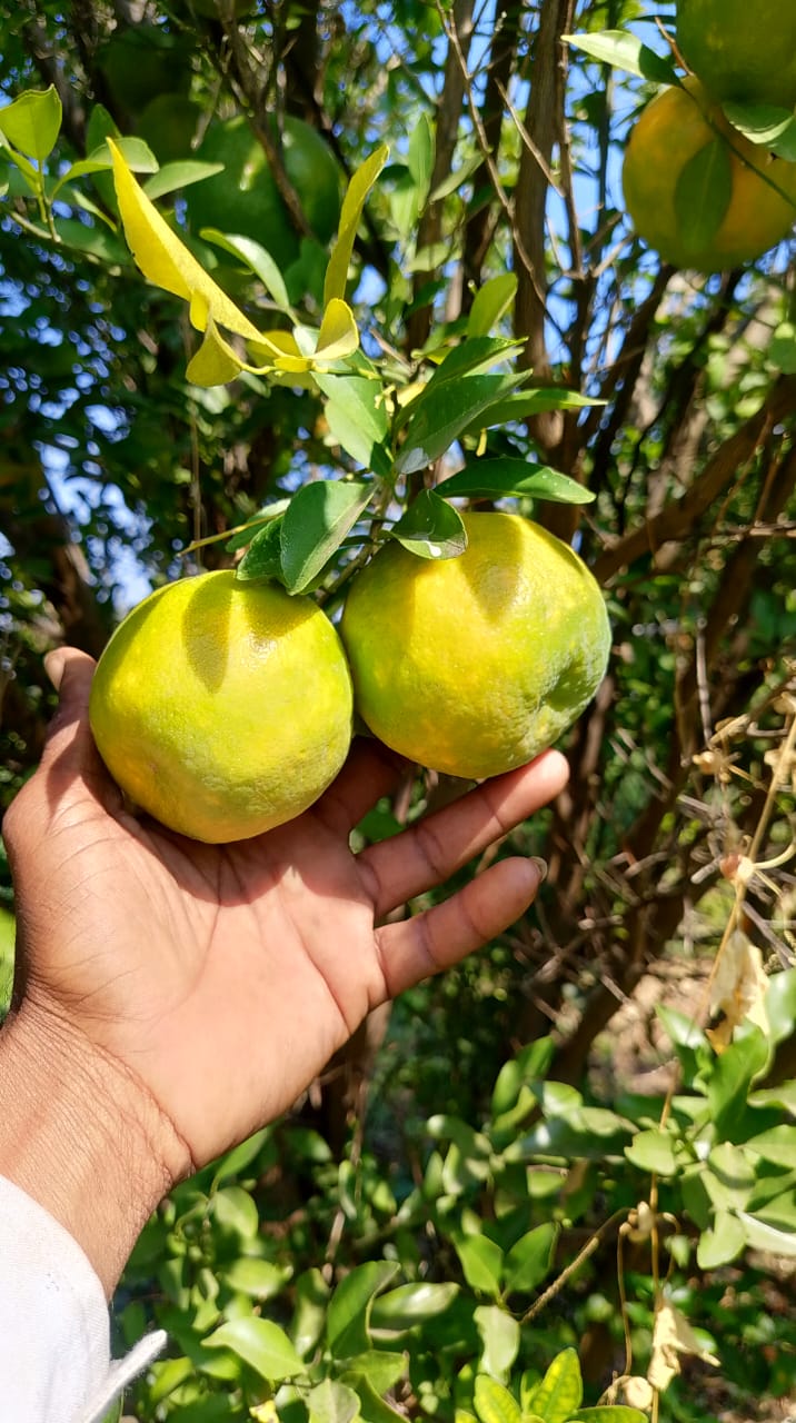 Durvesh Renewable Energy Pvt Ltd